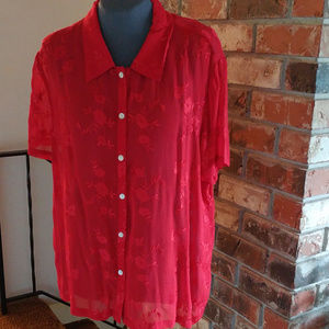 Sheer embroidered blouse